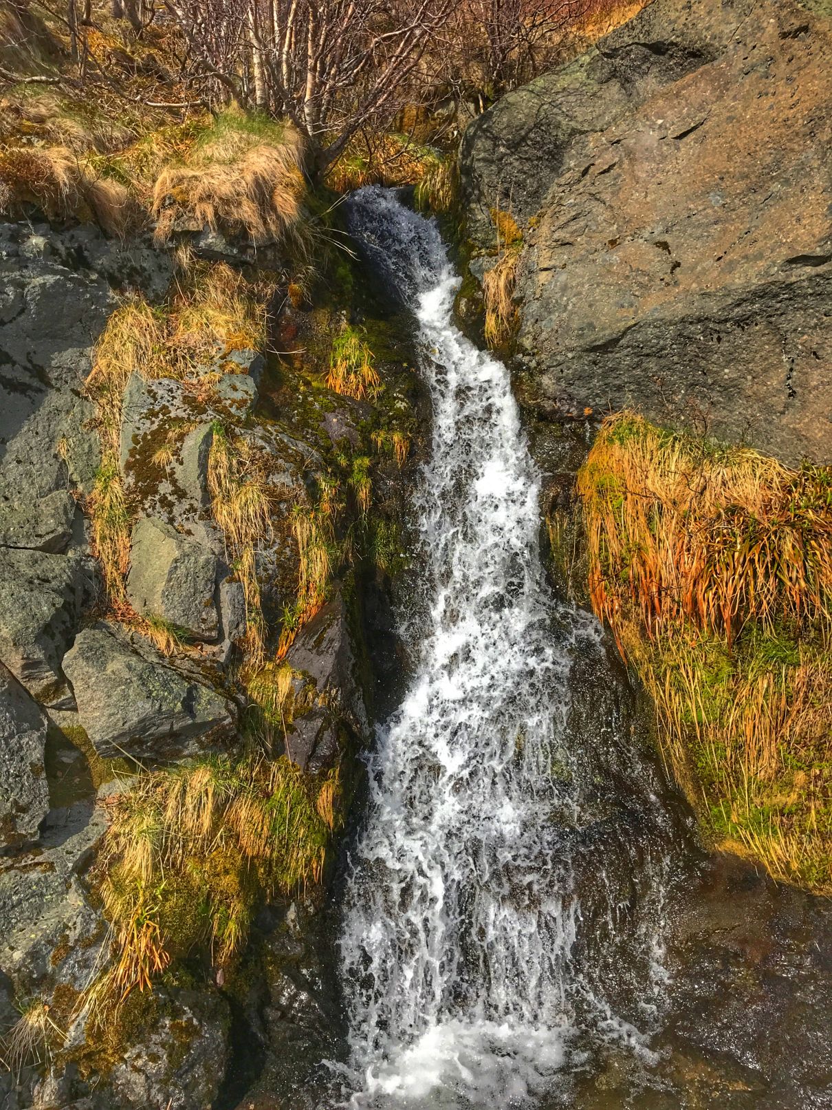 Lofoten
