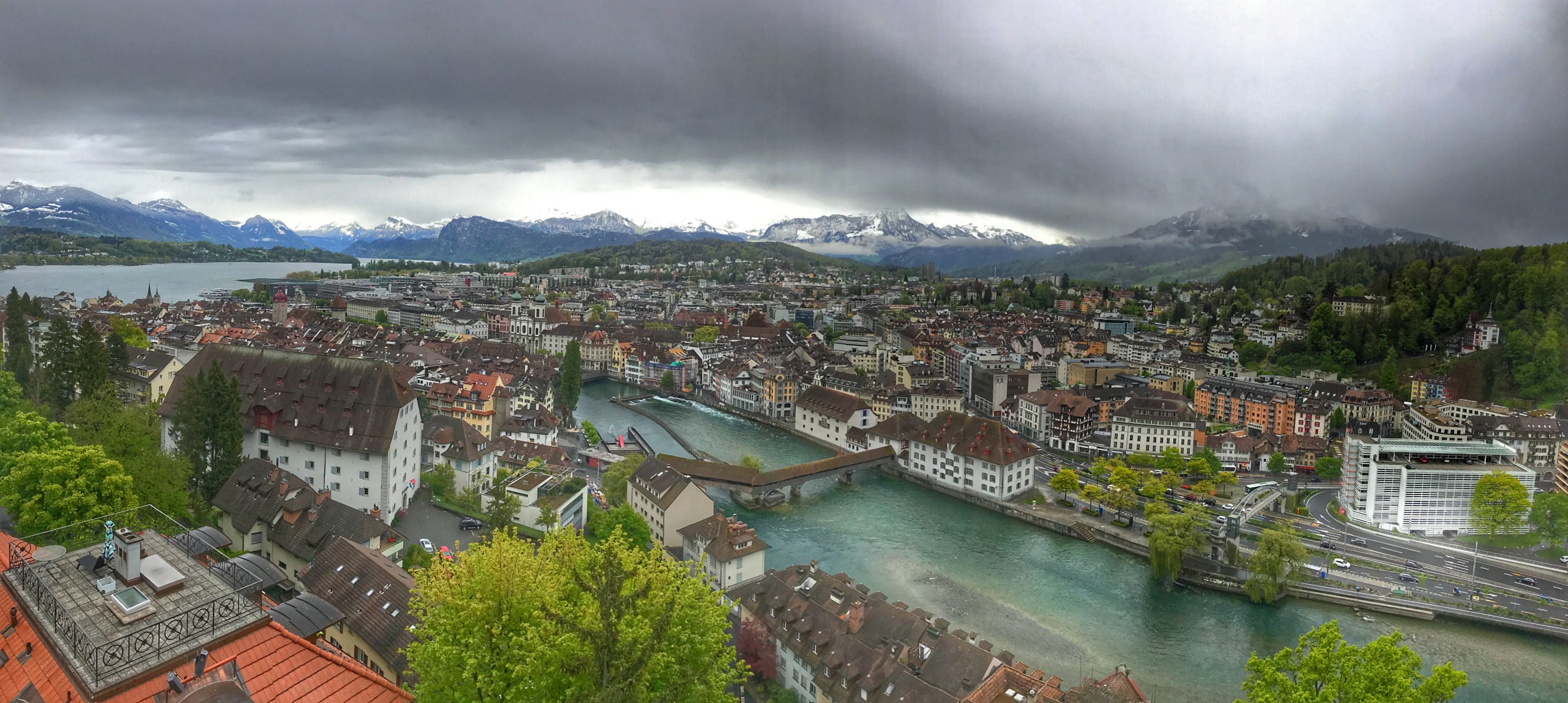Luzerne