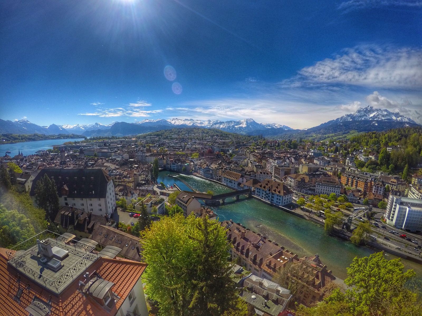 Luzerne