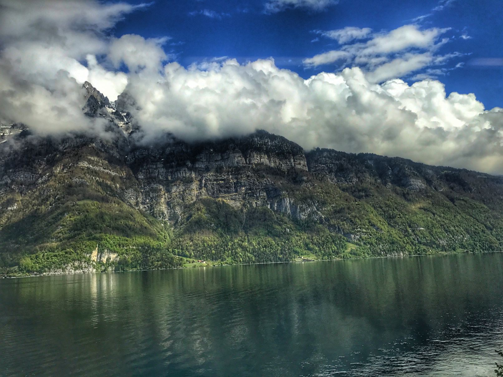 Luzerne