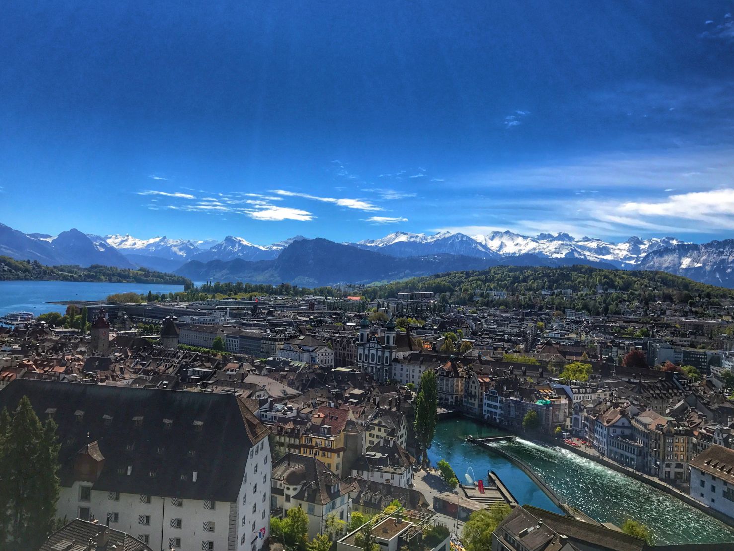 Luzerne