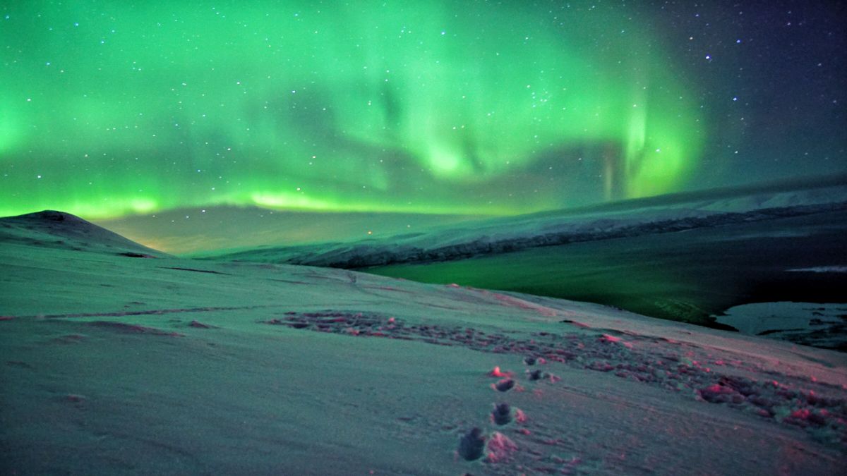 Northern Lights