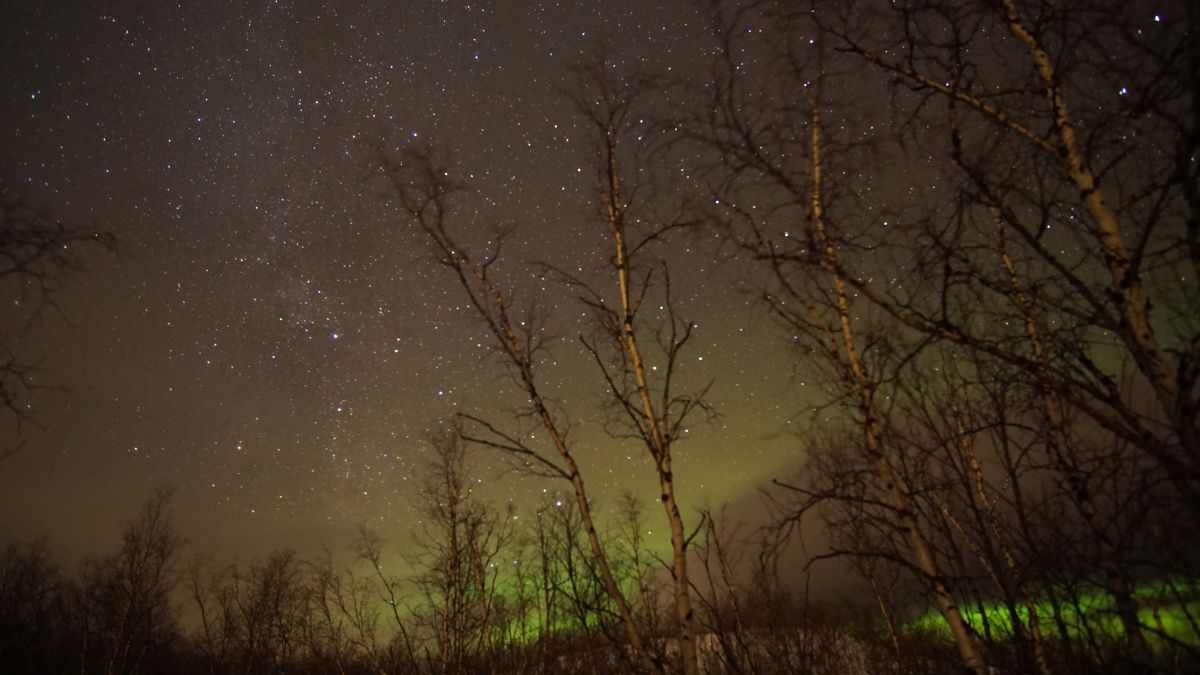 Northern Lights