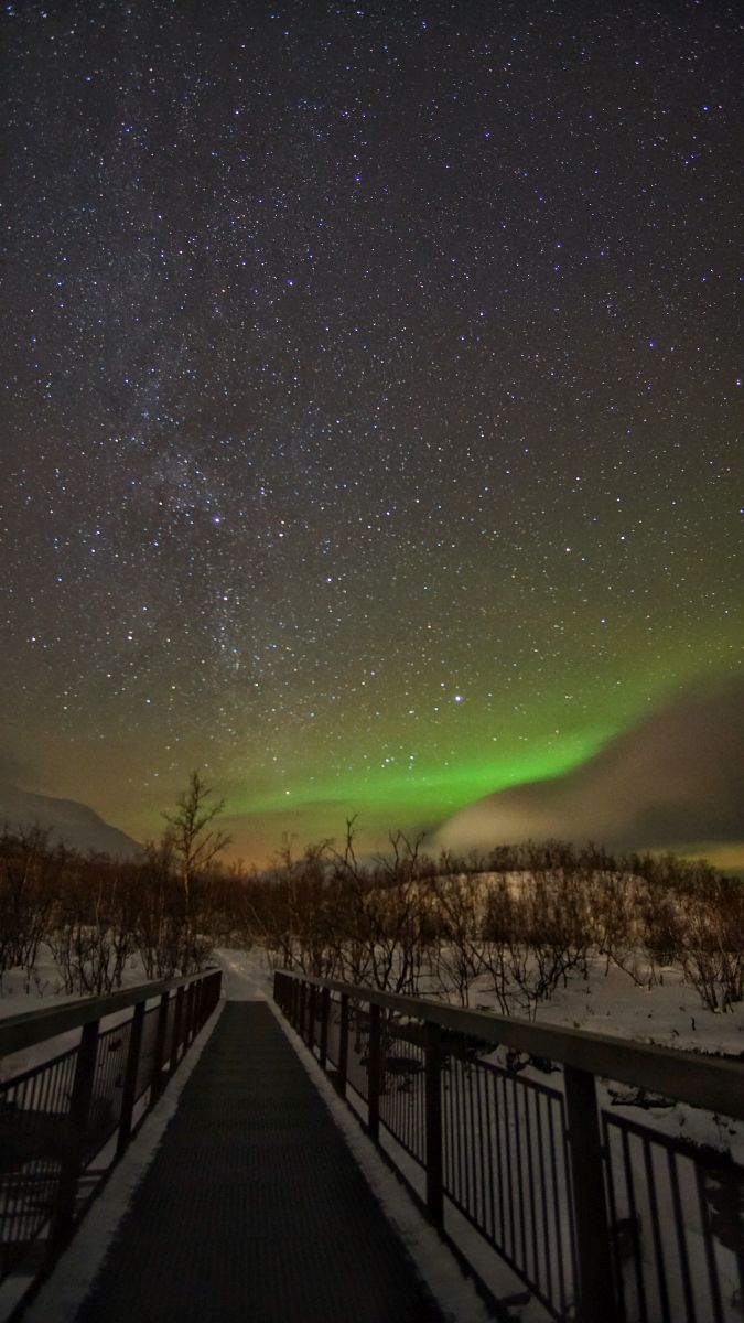 Northern Lights