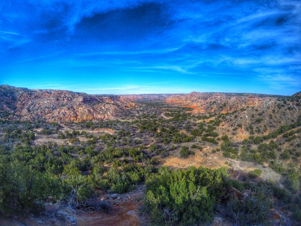 Texas