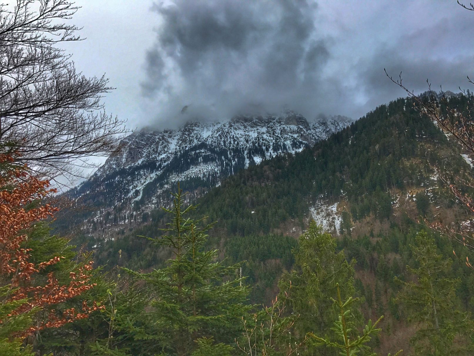 Schwangau