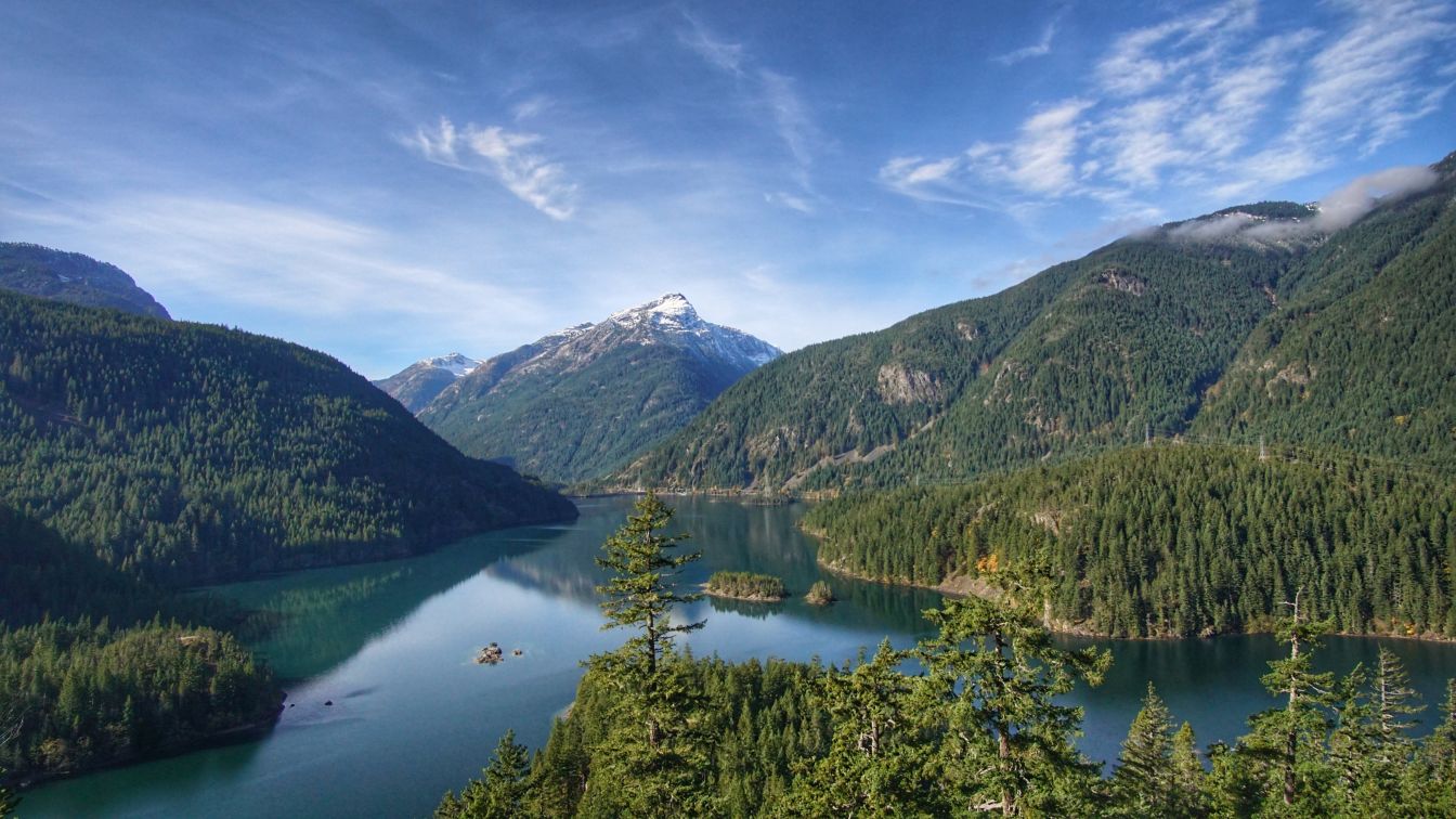 Seattle (2020-21)