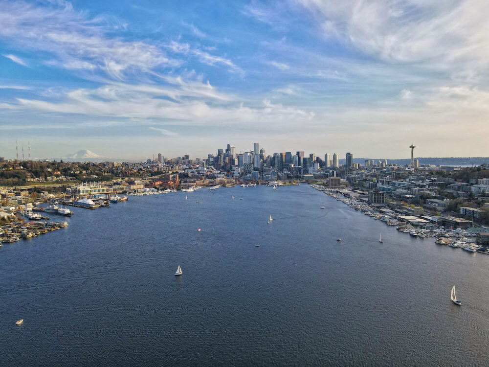 Seattle Springboard