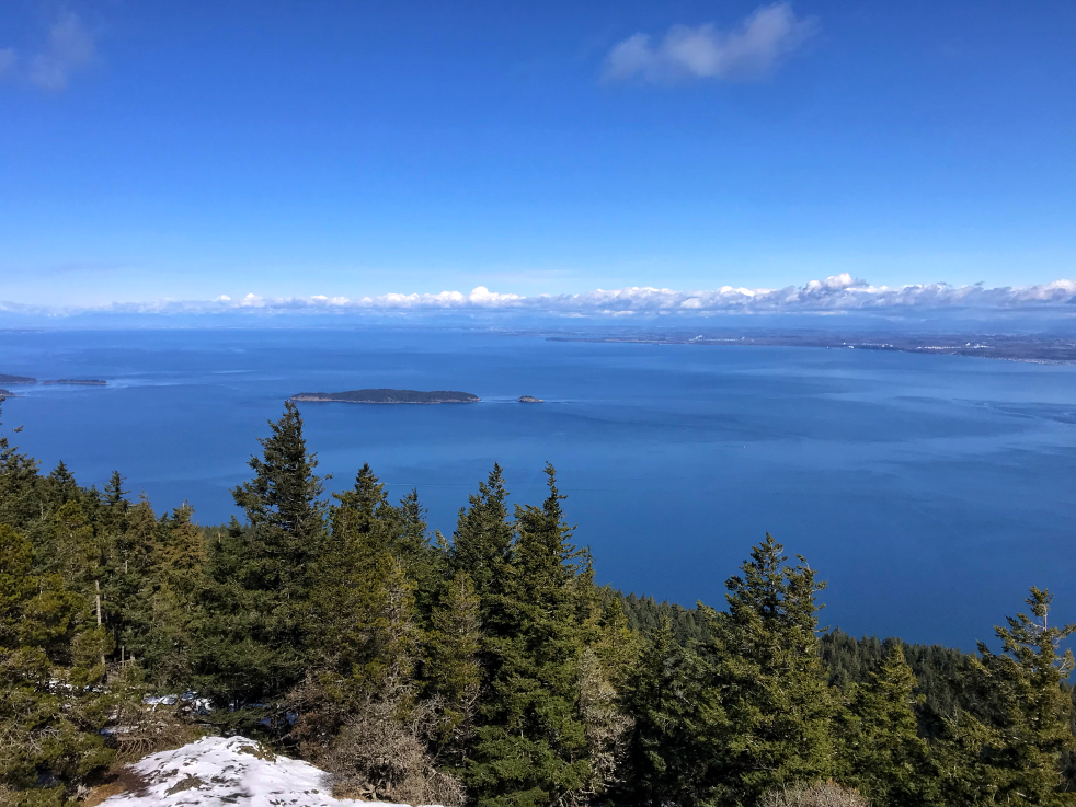 Seattle Springboard
