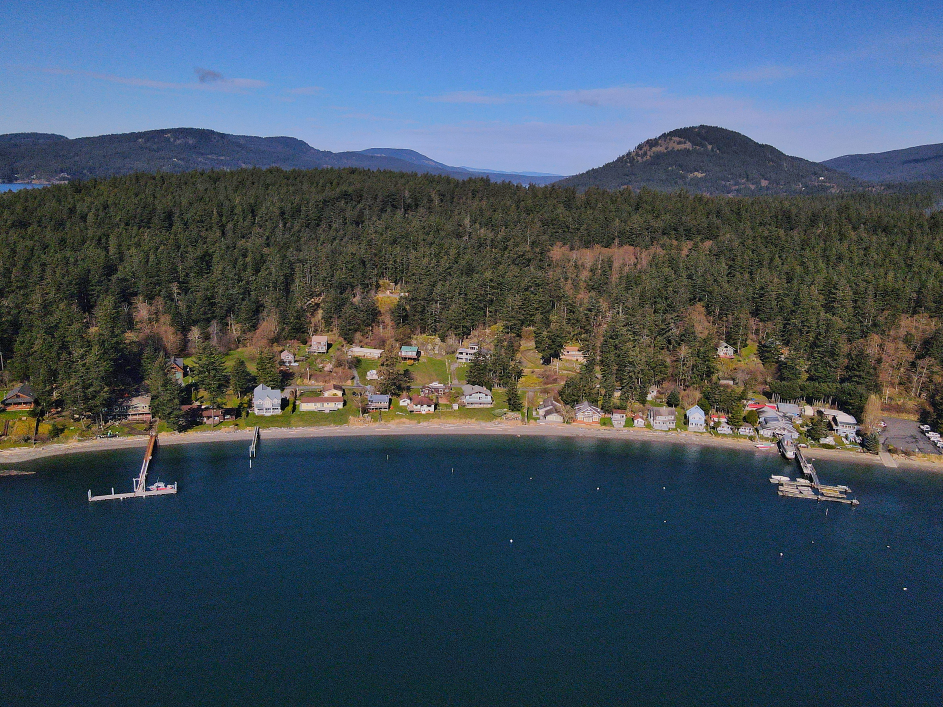 Seattle Springboard